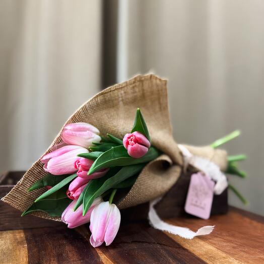 Pack de 8 Tulipanes Rosa