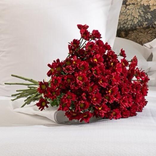 Bouquet of red daisies