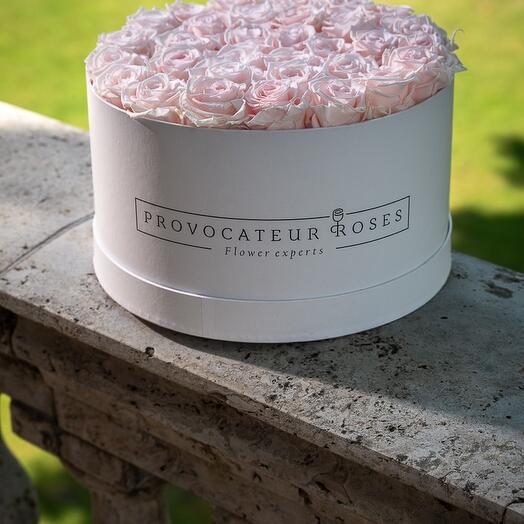 Caja 30cm rosita eternal