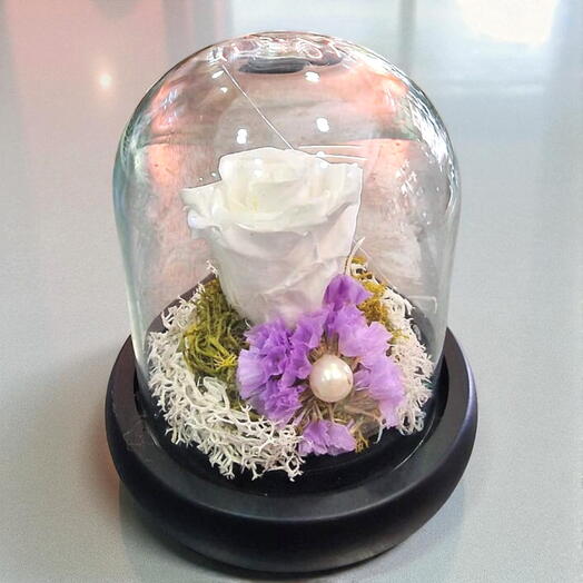 Rosa Blanca Eterna en Camp de Cristal