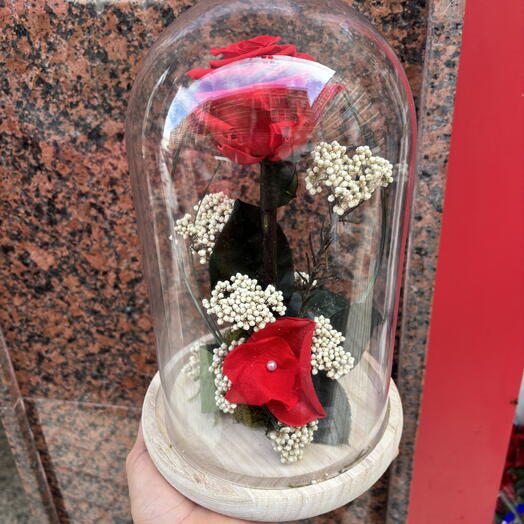 Cupula Rosa Roja Preservada