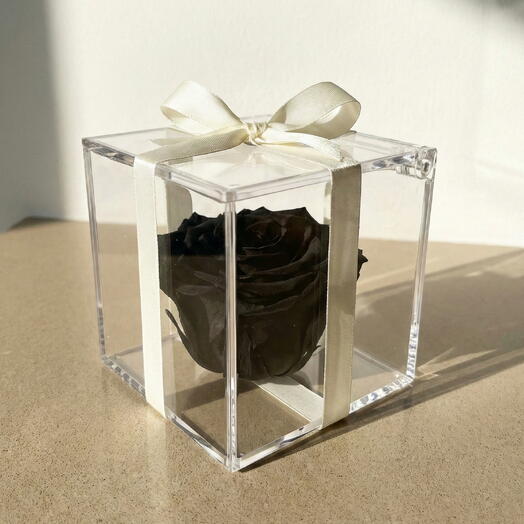 Caja metraquilato con rosa preservada negra