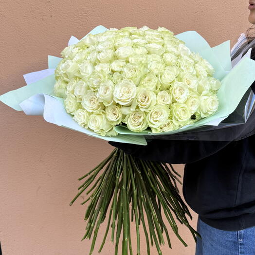 Blanco 💚💚💚101