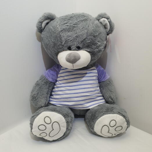 Oso de peluche 50×30cm
