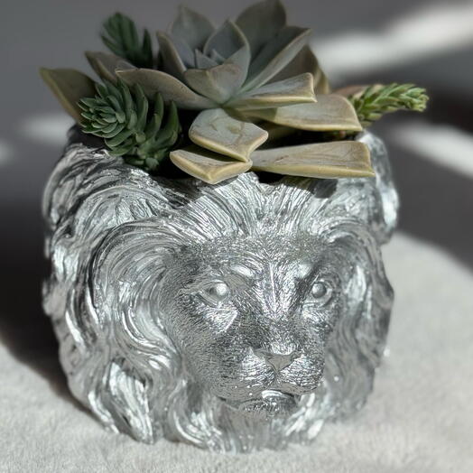 Maceta leon con suculentas plata