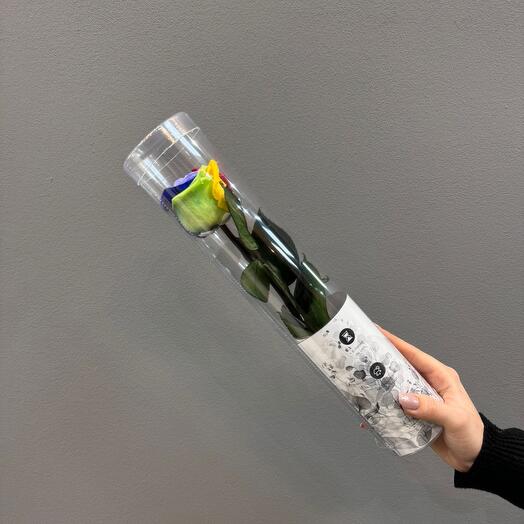 RRosa preservada ( pequeña ) mix