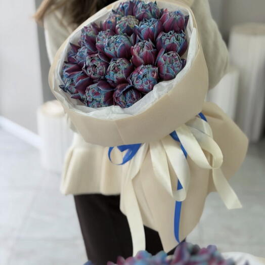 Tulipanes Cósmicos 🌌