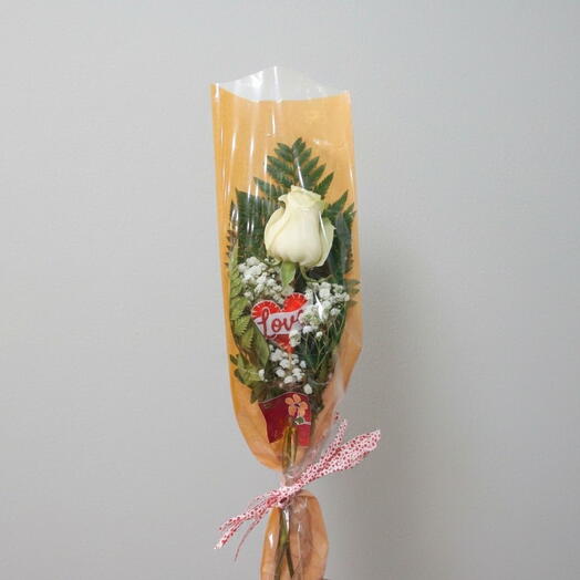 Rosa blanca en unidad para regalo
