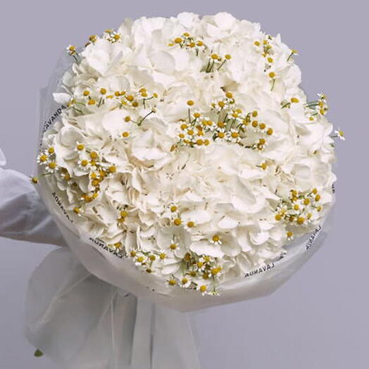 Hortensias blancas y tanacetum spray