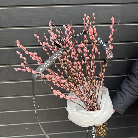 Ramo de 35 salix rosado