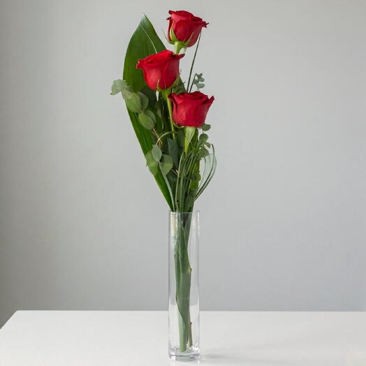 3 rosas tallo largo