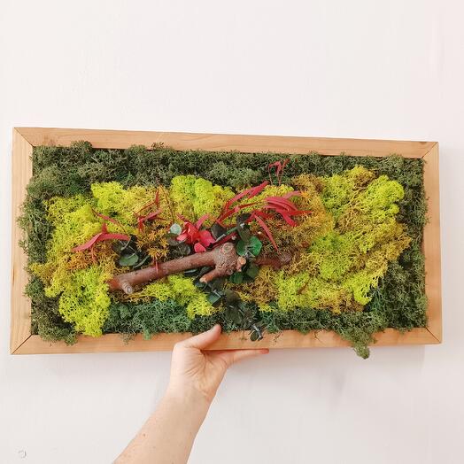 Jardin vertical preservado