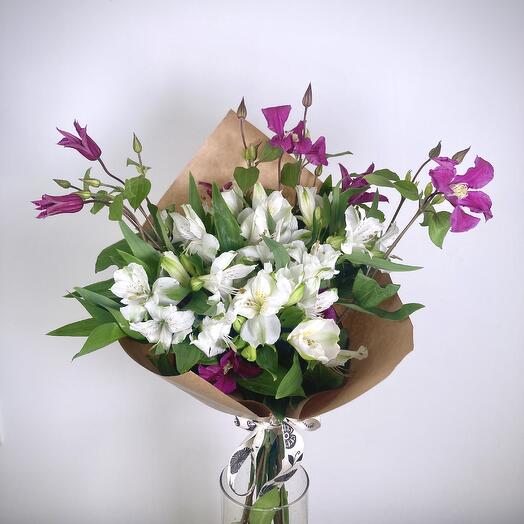 Astro blancas y estrellas