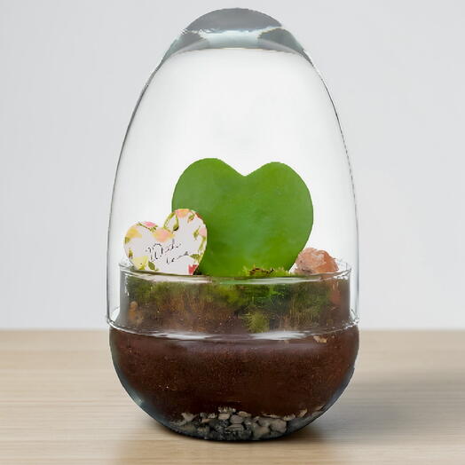 Eternal garden cactus heart