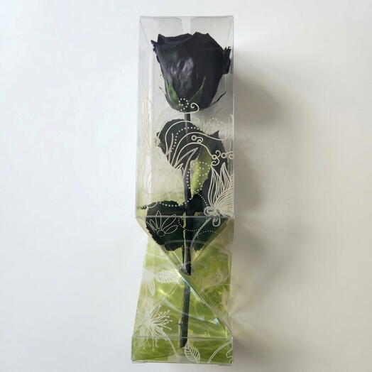 ROSA PRESERVADA disponible en color negro, demuestra que tu amor va mas alla de esta vida