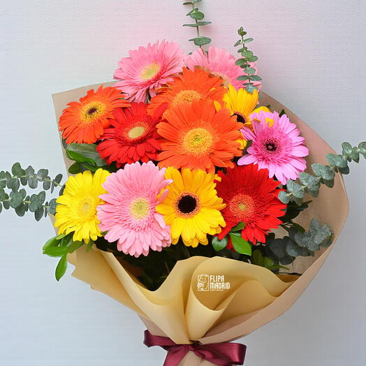 Ramo de 10 Gerberas multicolor