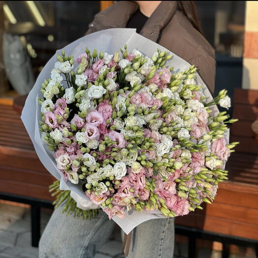 Mezcla de lisianthus