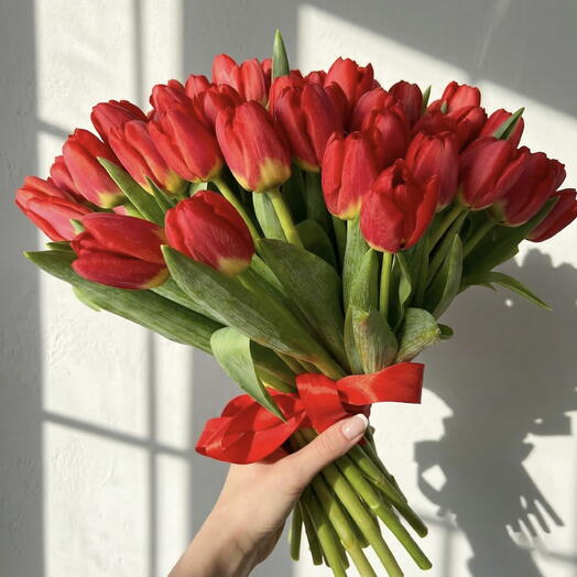 Ramo de 50 tulipanes rojos frescos – Bouquet elegante y romantico de primavera