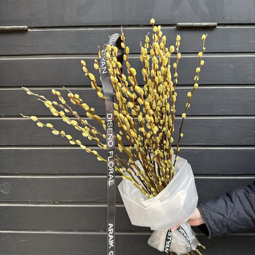 Ramo de 35 salix amarillo