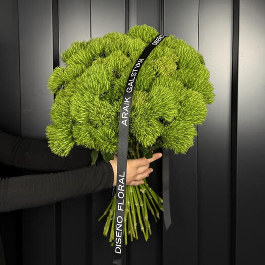 Ramo De Dianthus 50ud