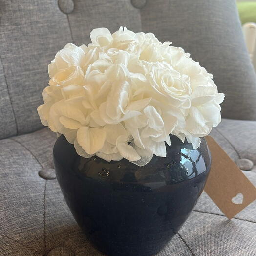 Біла гортензія