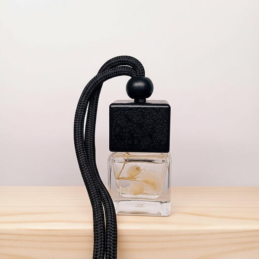 Ambientador de coche " Spicy"