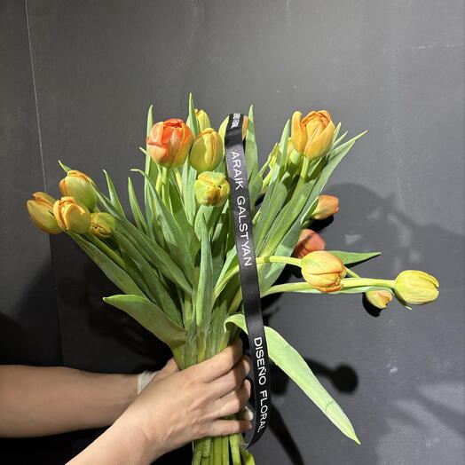 Orange tulip