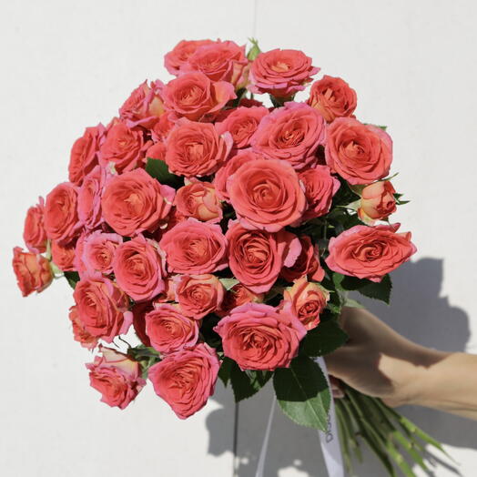 Ramo de 15 Rosas Chimo