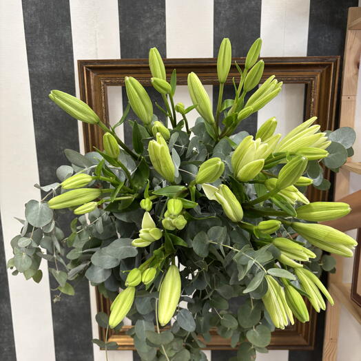 BORA BORA размер XL