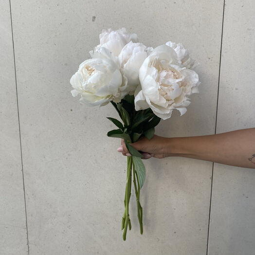5 White Peonies – Elegance and Love for Mom