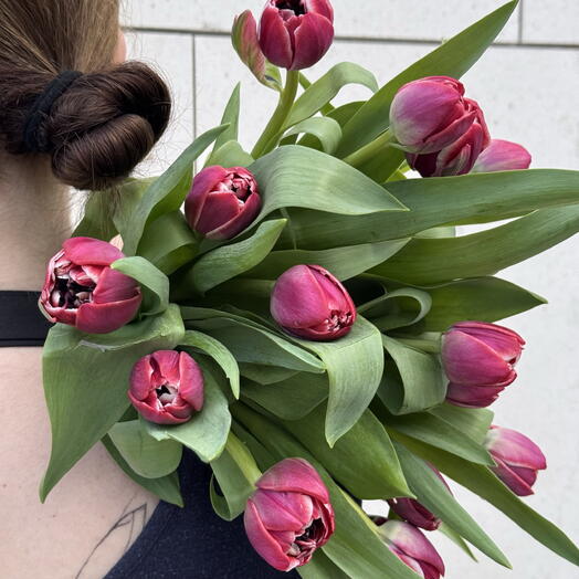15 Tulips Elegant Pink