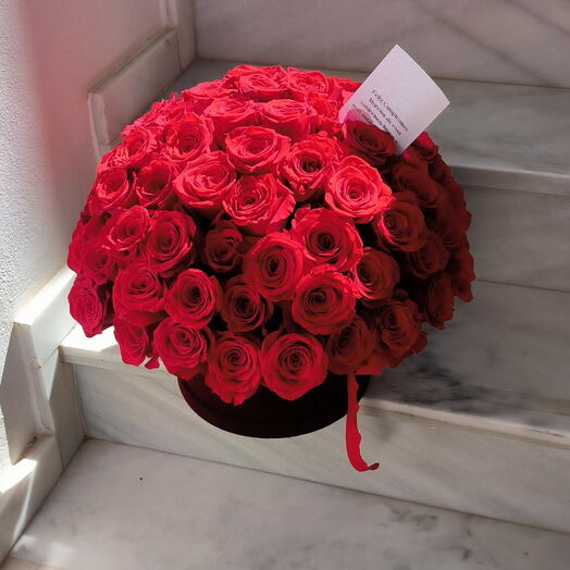 101 rosa roja en caja