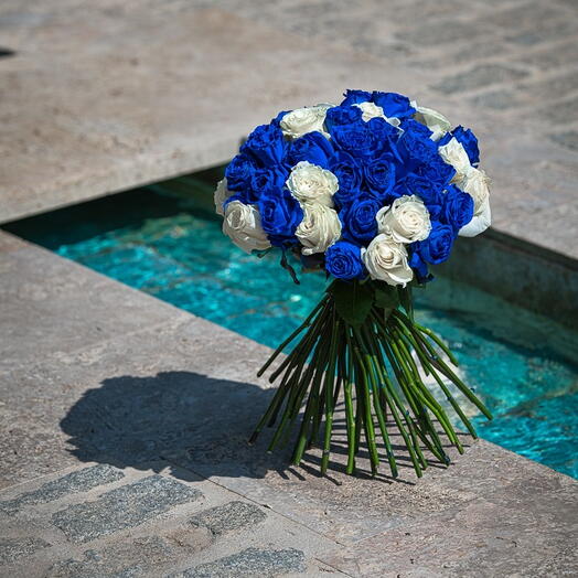 Ramo de 50 rosas azules y blancas