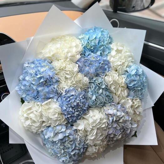Hortensias mixtas