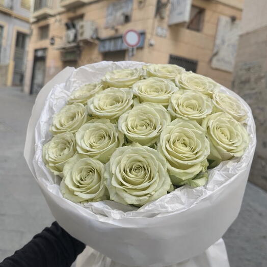 Rosa blanca 15