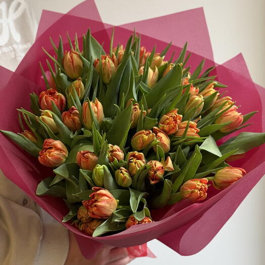 Tulipanes dobles rojos