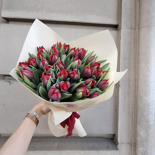 Красный тюльпан