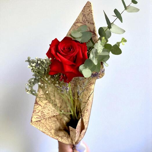 Rosa francesa hot red