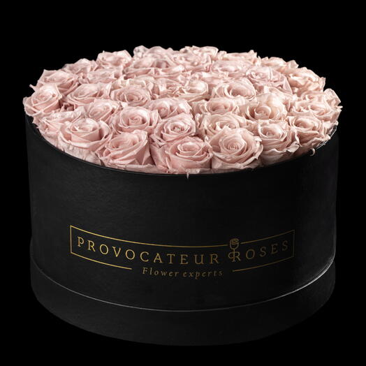Caja redonda 30cm de rosas preservadas rosa claro