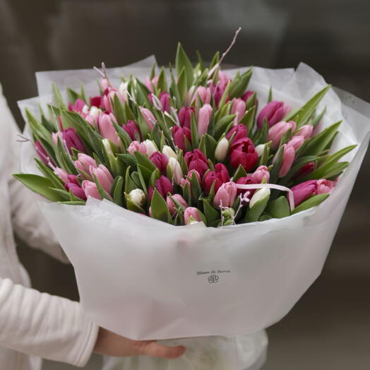 101 tulipanes mixtos