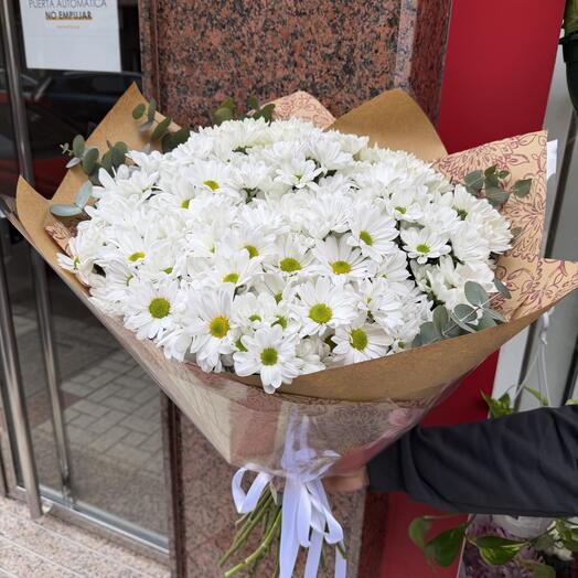 Grand bouquet de marguerites blanches