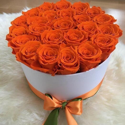 25 Orange roses