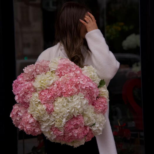 Ramo de 31 hortensias