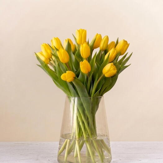 Bouquet of Holland Tulips - Radiant Yellow - 15 stems