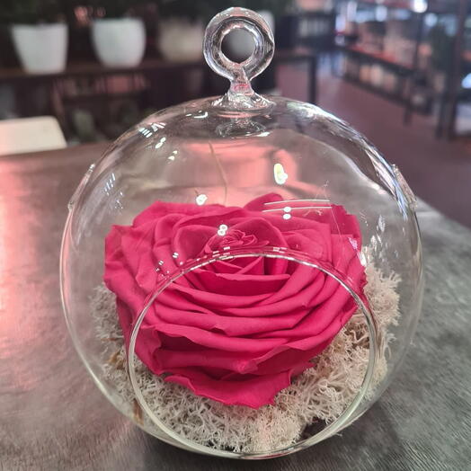 Rosa Fucsia Eterna en Globo de Cristal