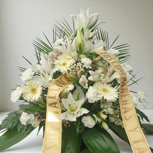 Похоронный центр Бланко Свет и Мир