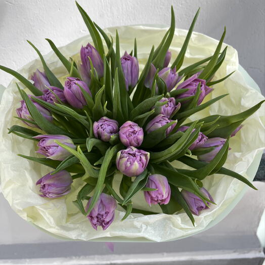 Tulipanes color lavanda