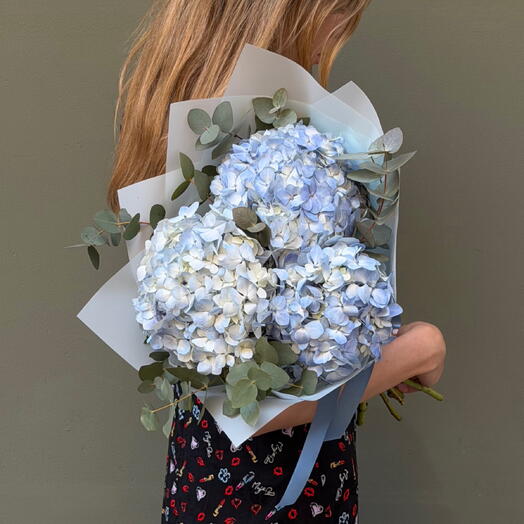 Hortensia Azul