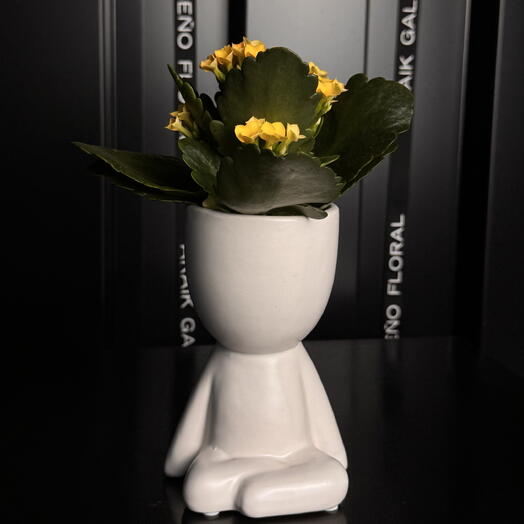 Kalanchoe en Maceta Blanca Humanoide Decorativa