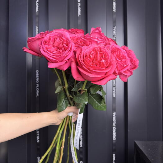 13 Rosas de Lujo Color Frambuesa Profunda